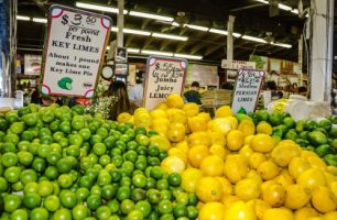 Florida Citrus Fruit Dealer Bond